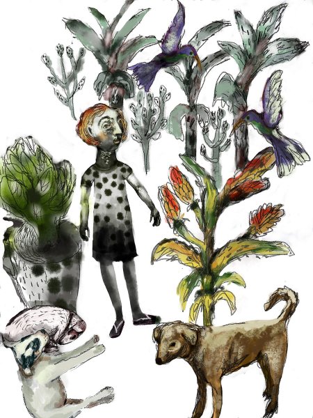 Griet van der Meulen - My mother_s Aloe garden